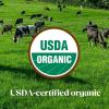 imagePure Bliss by Similac Organic Infant Formula Easy to Digest USDACertified Organic Powder 206oz Tub206 Ounce Pack of 1